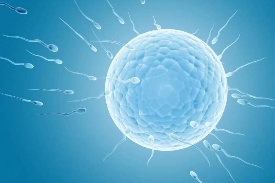 IVF Specialist in Ravet, PCMC, Pune offering advanced IVF Treatment in Ravet, PCMC – Kolte Hospital