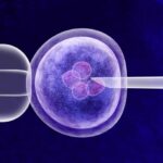 What Is ICSI in IVF? When Is It Recommended?
