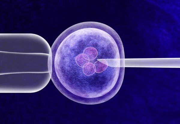 ICSI vs IVF treatment process showing intracytoplasmic sperm injection procedure at Kolte Hospital Ravet Pune