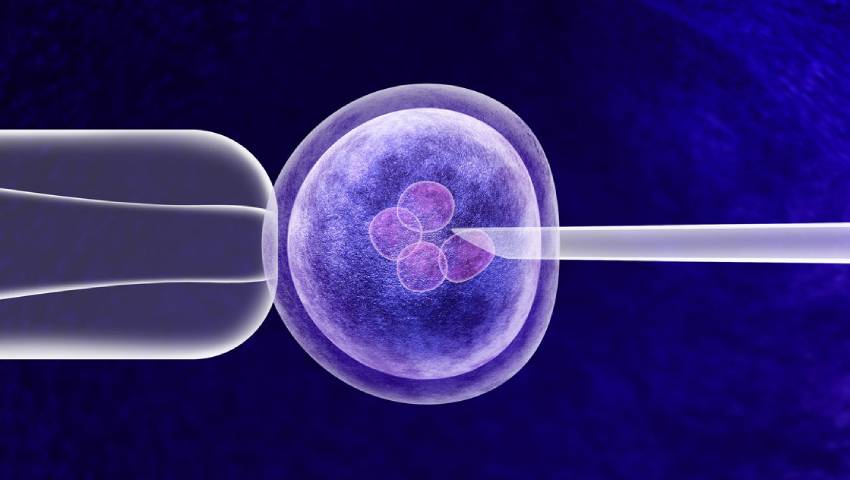 ICSI vs IVF treatment process showing intracytoplasmic sperm injection procedure at Kolte Hospital Ravet Pune