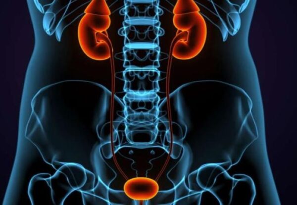 Understanding Uterine Prolapse and Surgical Options for Repair uterine prolapse repair surgery showing stages of prolapsed uterus and pelvic organ prolapse treatment