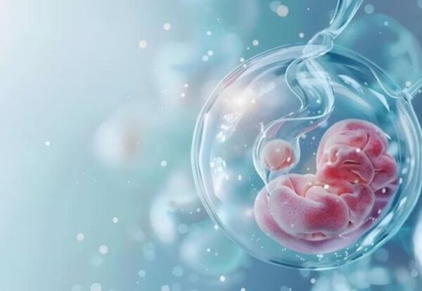 5 Steps to IVF Process: Complete IVF Procedure Guide | Kolte Hospital steps to ivf process step by step in vitro fertilization process diagram explanation