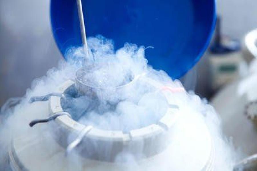 Egg freezing process for fertility preservation in women