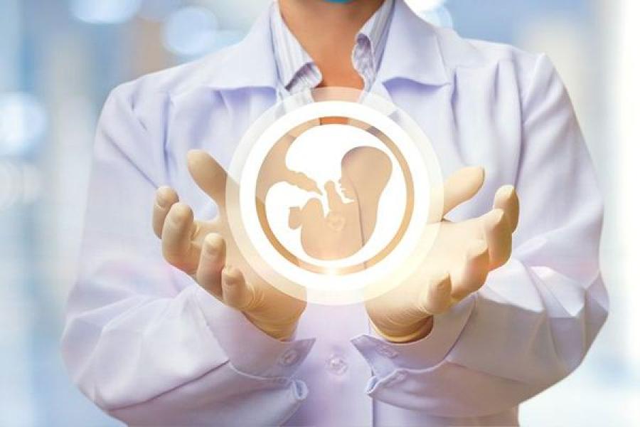 IVF Assisted Reproductive Technology (ART)