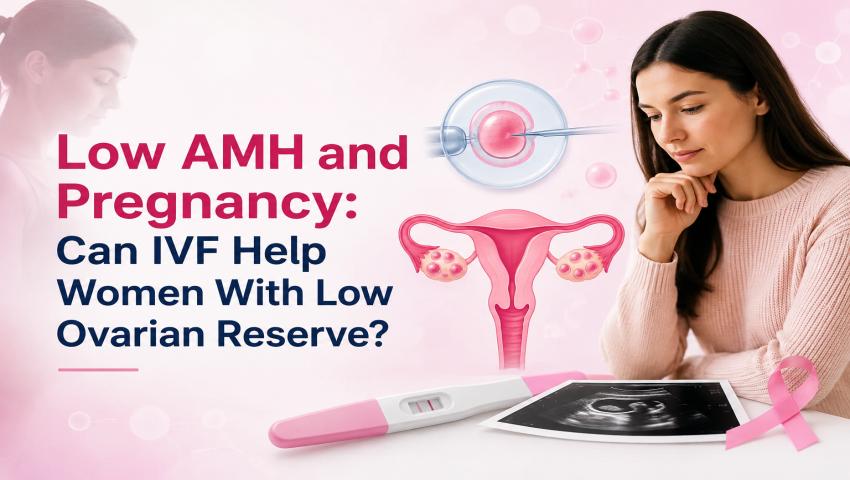 Low AMH and Pregnancy guide showing female reproductive system illustration.